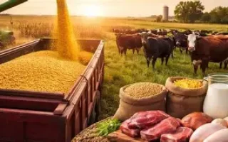 [Noticias económicas 4] El agro proyecta exportaciones por más de US$ 41,000 millones en la campaña 2026/27